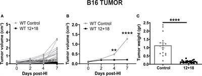Exploring the immunomodulatory role of virtual memory CD8+ T cells: Role of IFN gamma in tumor growth control
